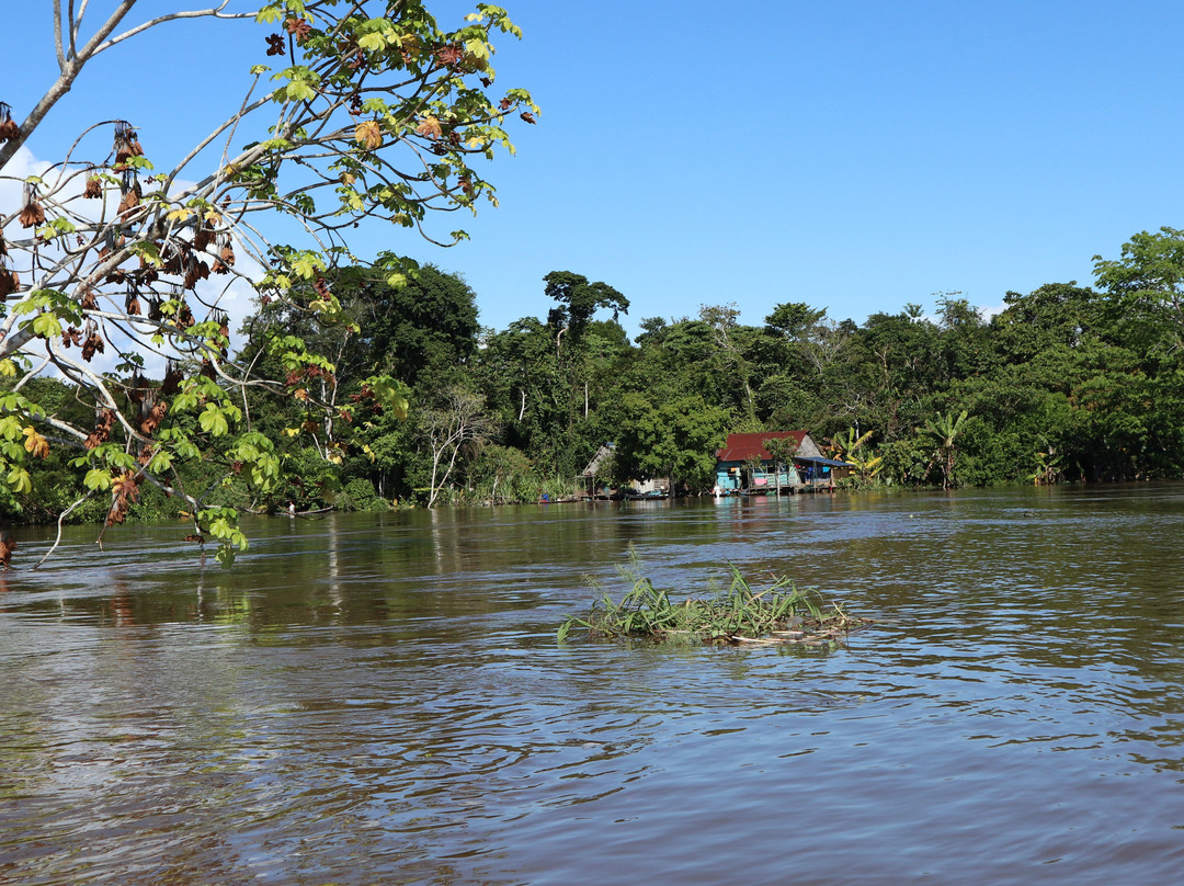Area de Conservacion Regional Comunal Tamshiyacu Tahuayo-伊基托斯必去景点