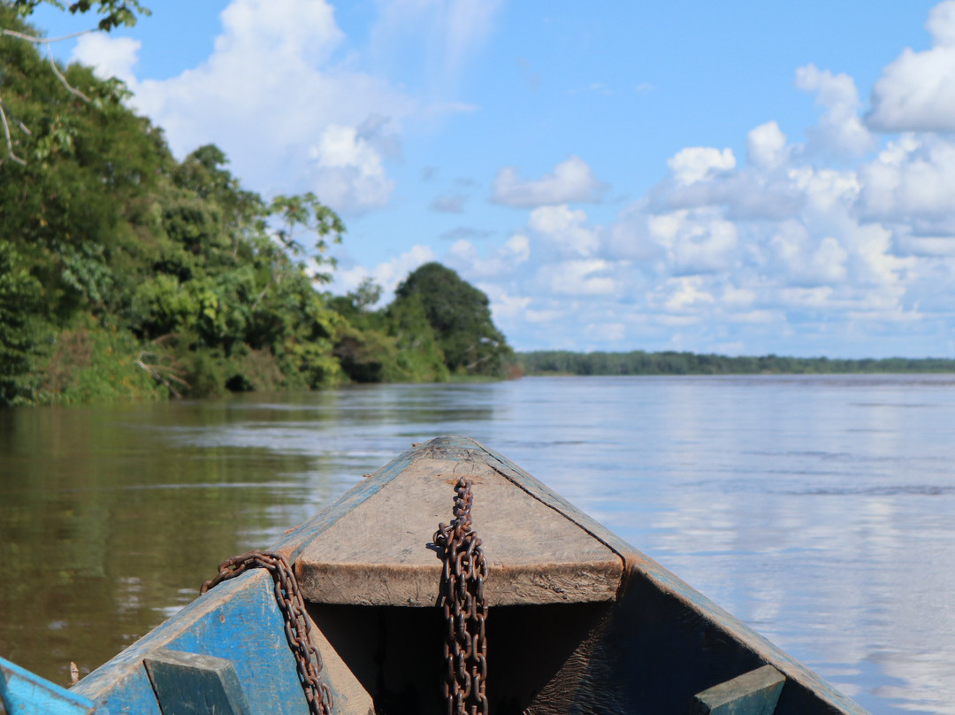 Area de Conservacion Regional Comunal Tamshiyacu Tahuayo-伊基托斯必去景点