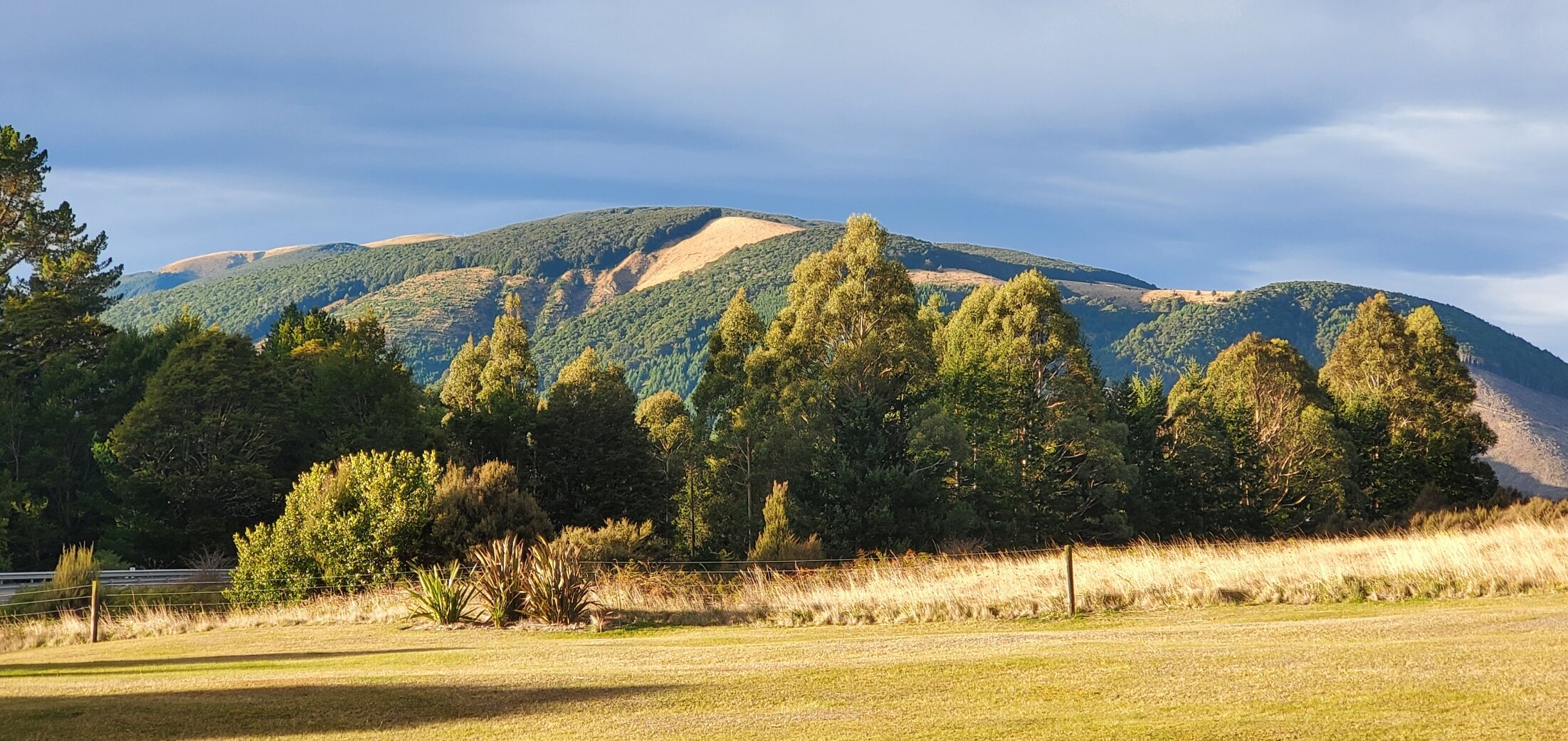 Nelson Lakes Homestay-酒店景观