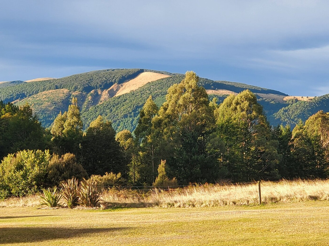 Nelson Lakes Homestay主图