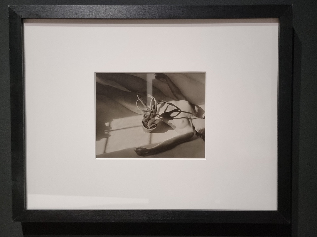 Nouveau Musée National De Monaco-蒙特卡洛必去景点