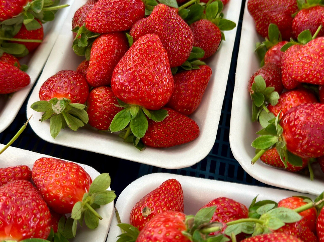 Manavgat Market-马纳夫加特必去景点