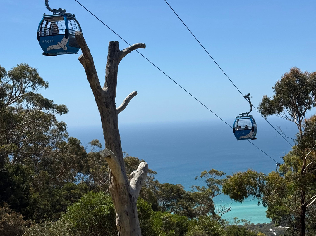 Arthurs Seat Eagle-Arthurs Seat必去景点
