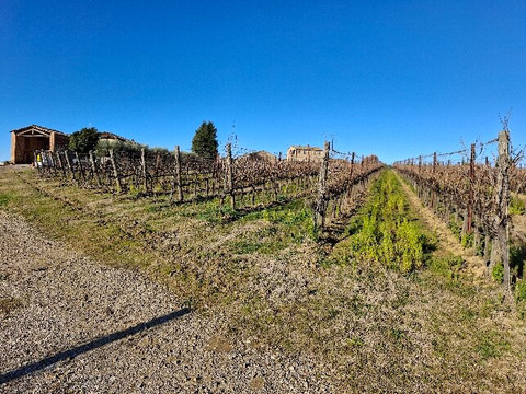 Agriturismo Melariano主图