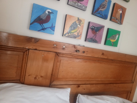 Khayamanzi Guesthouse主图