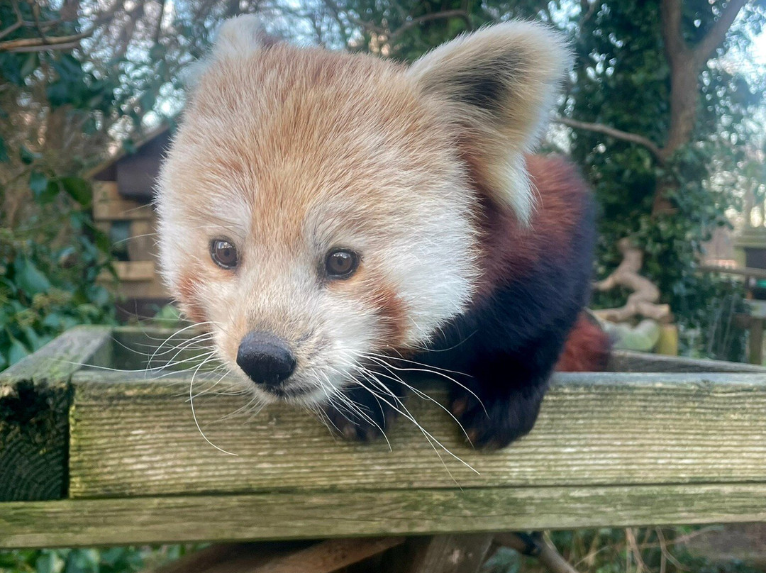 Curraghs Wildlife Park-Ballaugh必去景点