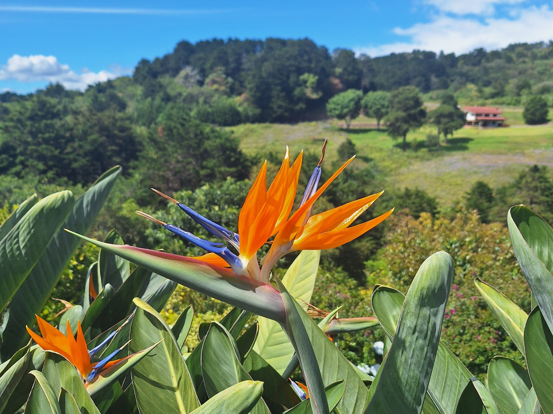 Finca Paraiso Mountain Retreat主图