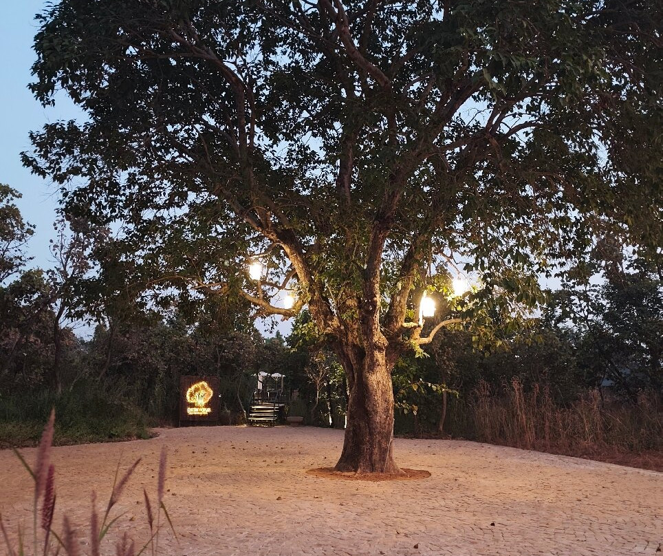 Bagh Tola, Bandhavgarh主图