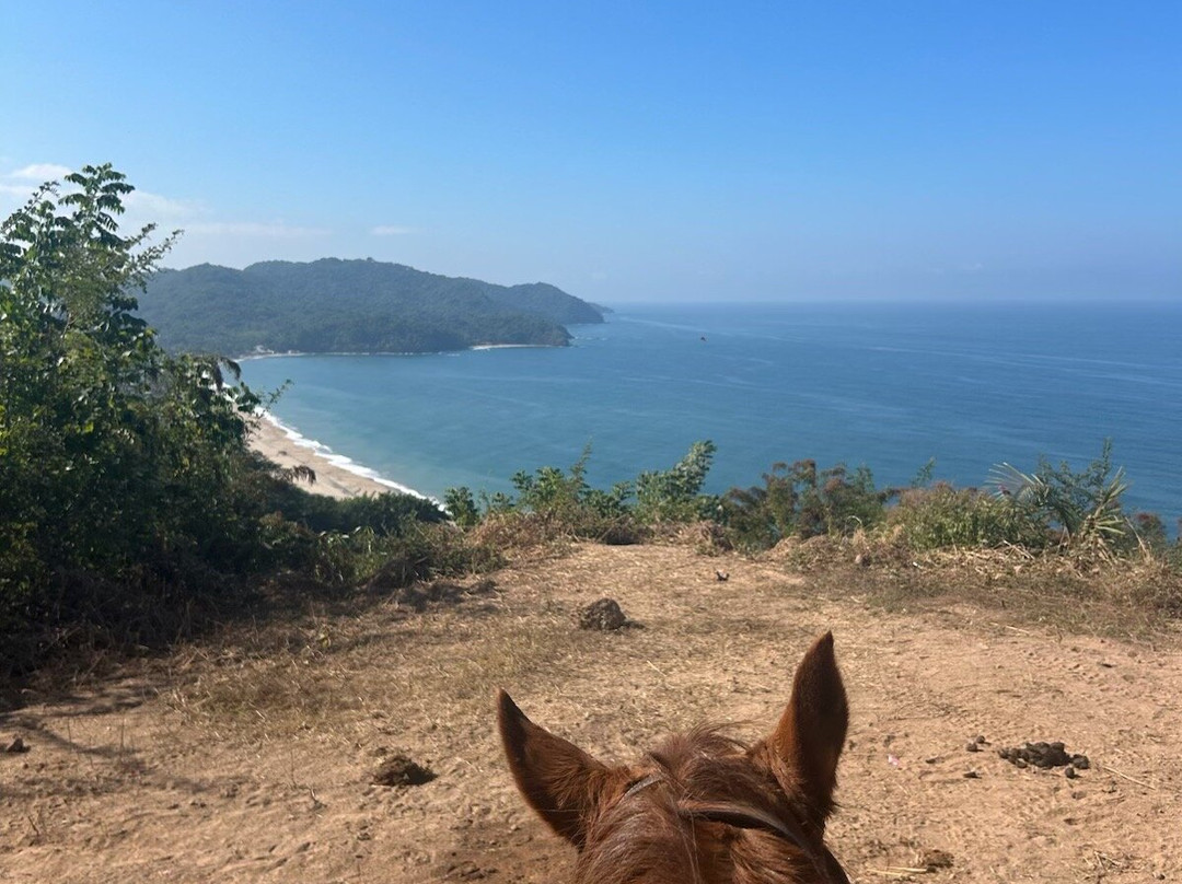Lo de Marcos Horseback Rides & Adventure Tours-Lo de Marcos必去景点
