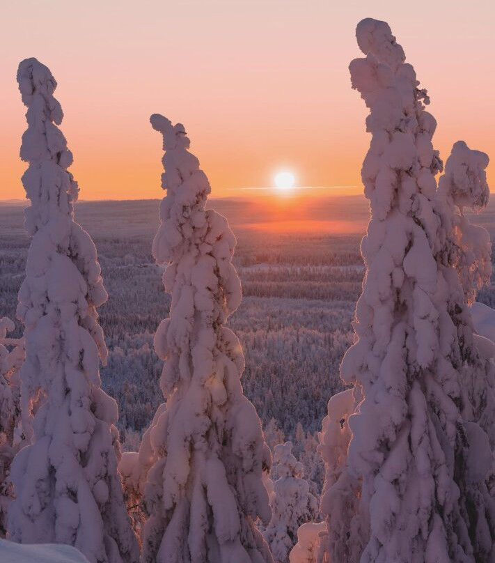 Lapland Nature And Health