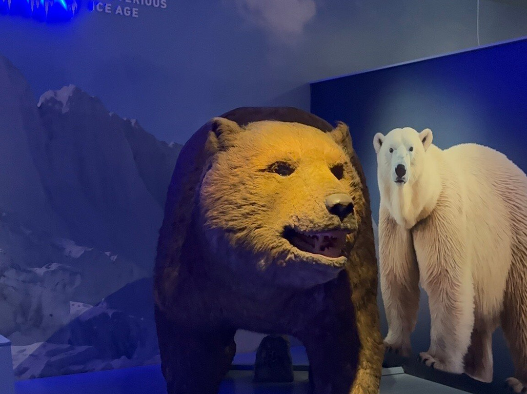 Móra Ferenc Múzeum-塞格德必去景点