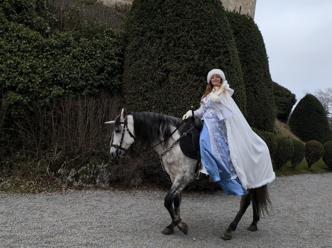 Château De Menthon-saint-bernard-圣贝尔纳必去景点
