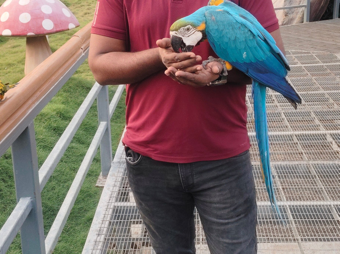 Trichy Birds Park-Tiruchirappalli District必去景点