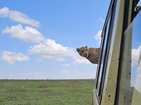 Magical Gorilla Adventures-坎帕拉必去景点