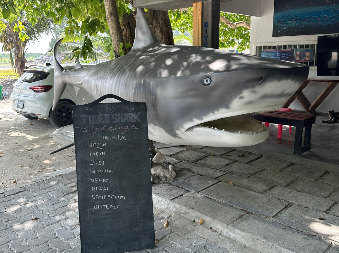 Pelagic Divers Fuvahmulah-Fuvahmulah必去景点