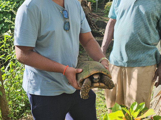 Genesis Nature Park & Art Gallery-多巴哥必去景点