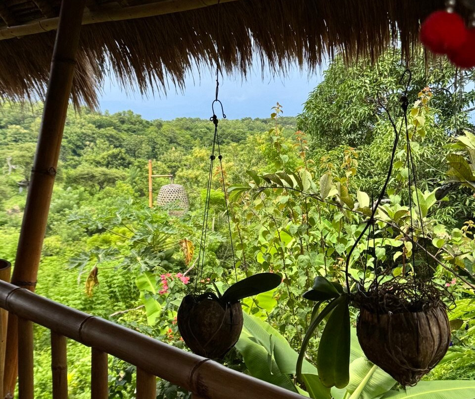 Penida Bambu Green Villas主图