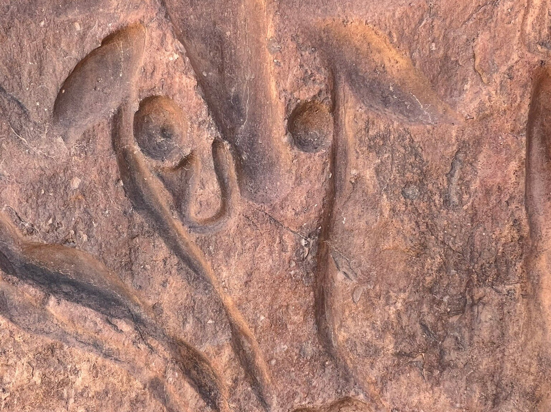 Mouflon Tourisme-Tamanrasset必去景点