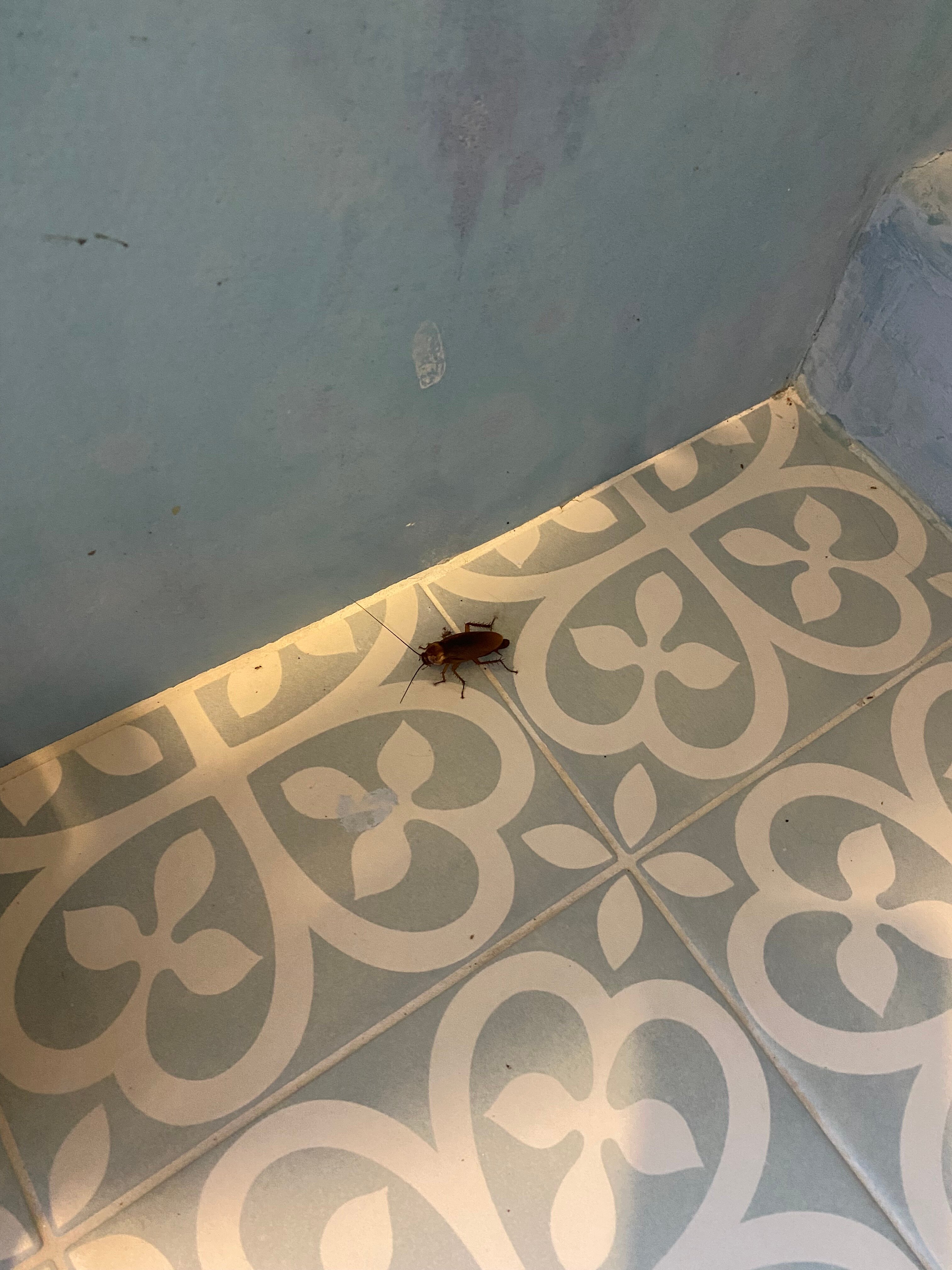 阿尔曲翁提克安杰卢酒店-官方