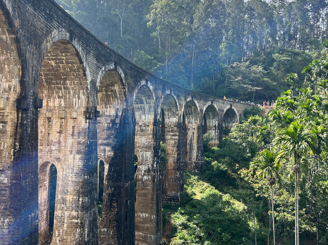 Sri Lankan Spring Tours-蒂瑟默哈拉默必去景点