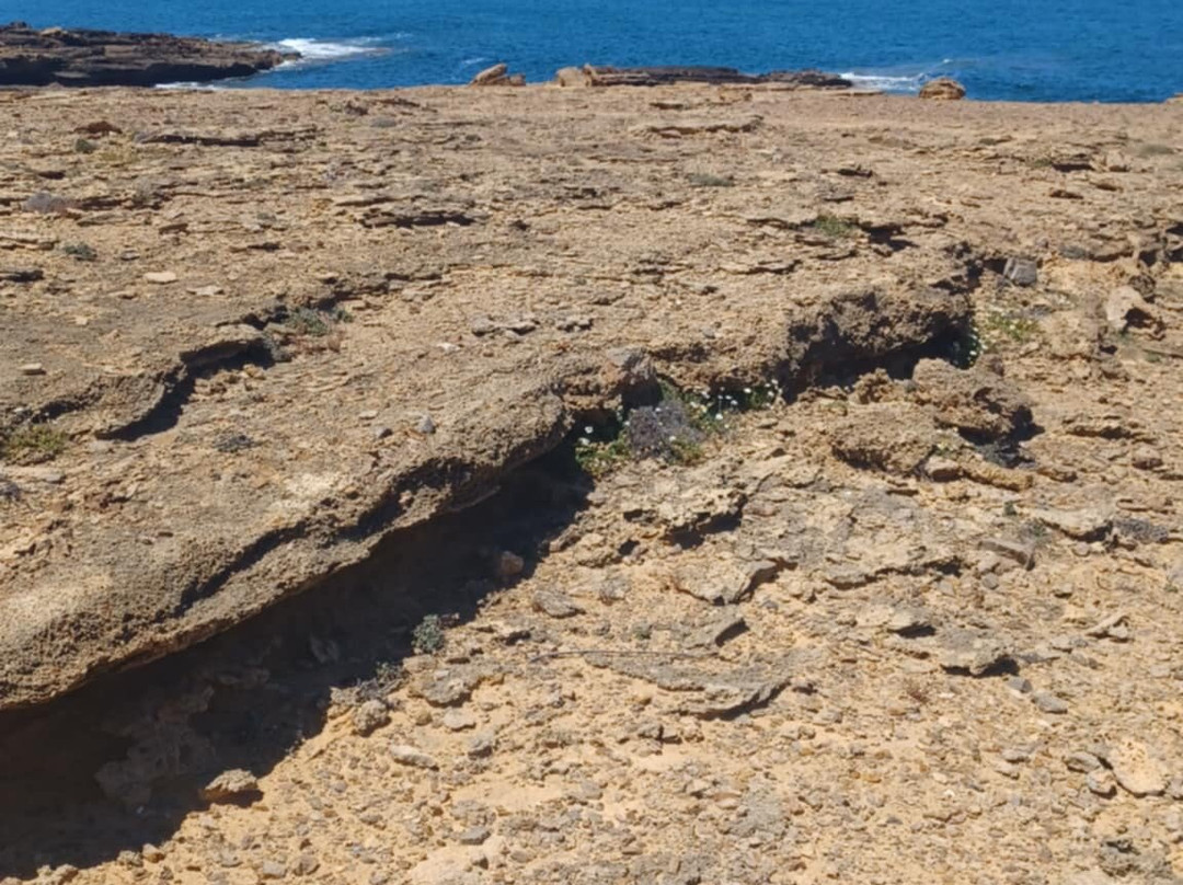 Cami de Cavalls-Mahon必去景点