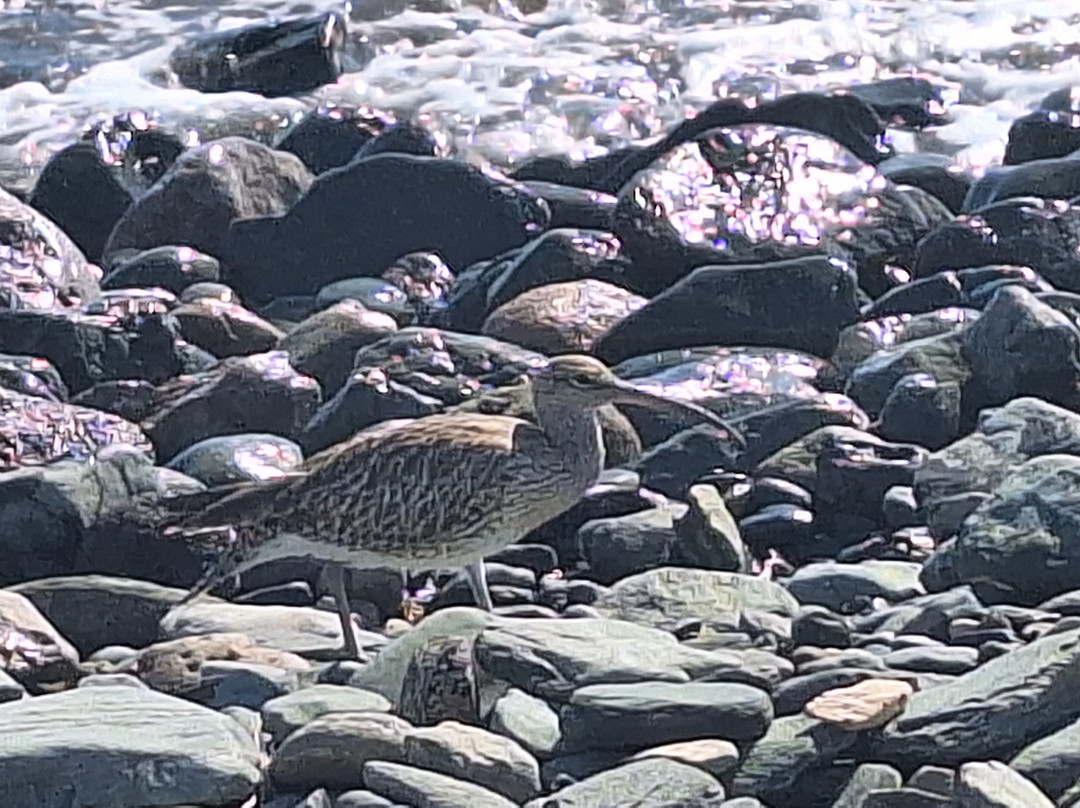 Strandpromenade San Agustin-San Agustin必去景点