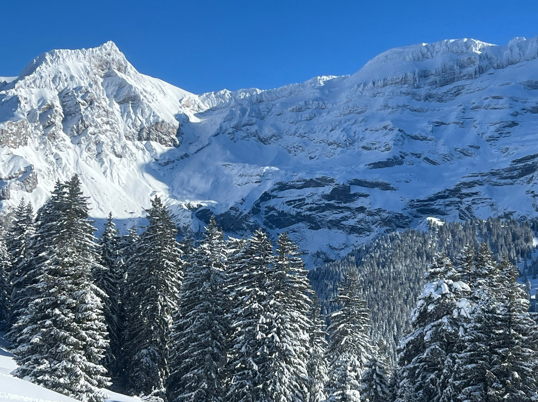 The Glacier Hotel主图