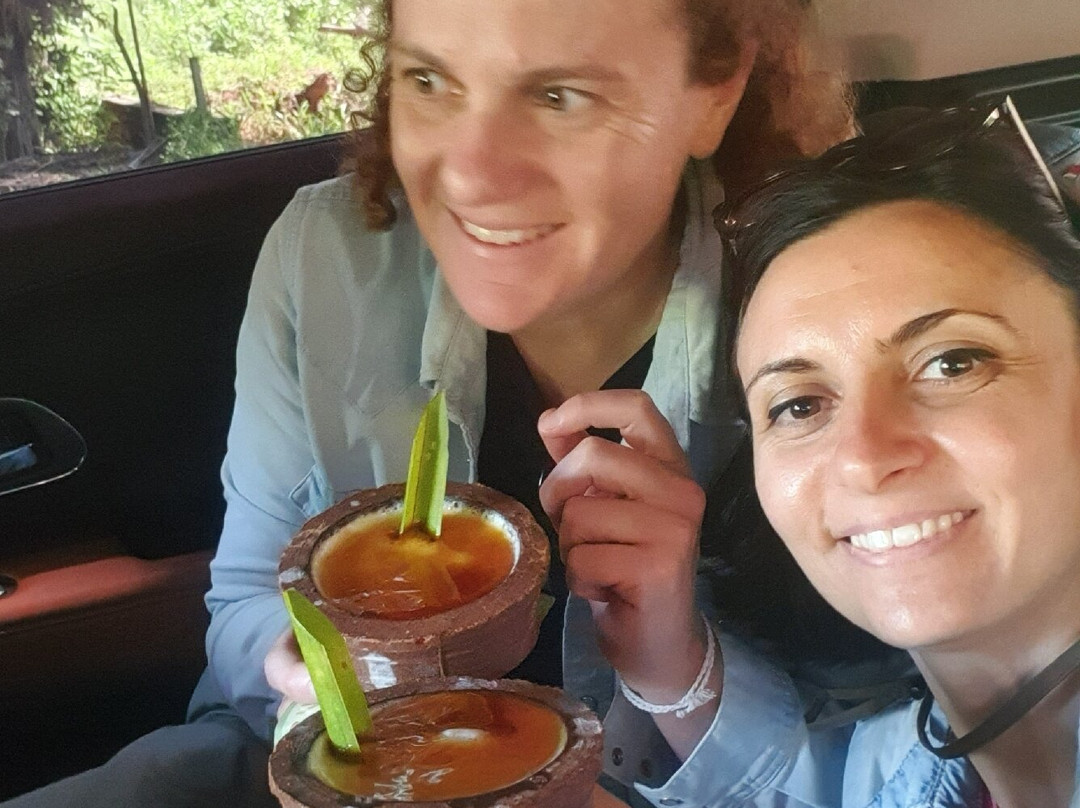 Drivers in Sri Lanka-科伦坡必去景点