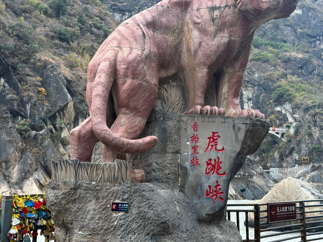 My Panda Tours-成都必去景点