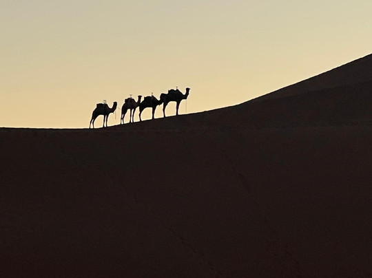 Mélodie du désert-迈哈米德必去景点