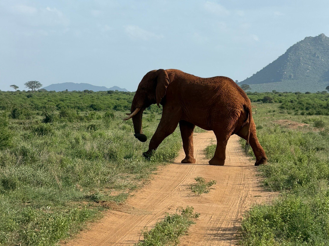 Discovery Kenya con Fragola-瓦塔木必去景点