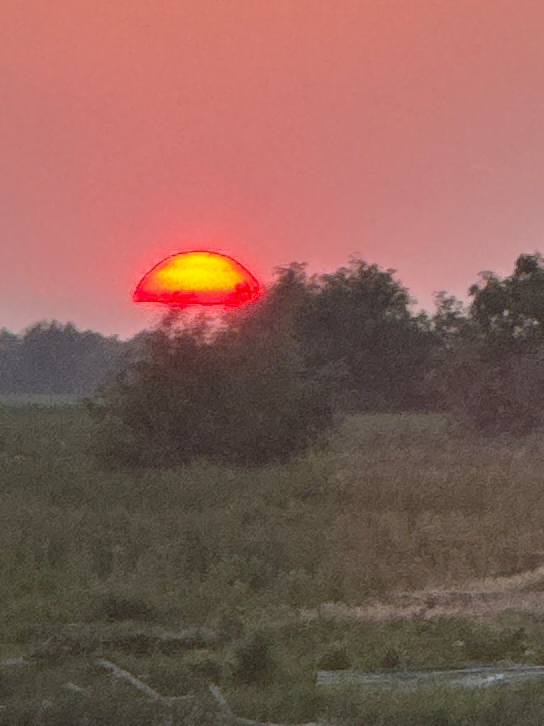 Pensiunea Paradise Delta House-官方