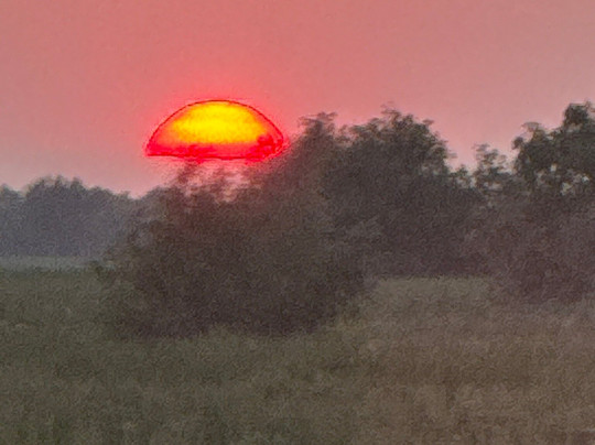 Pensiunea Paradise Delta House主图