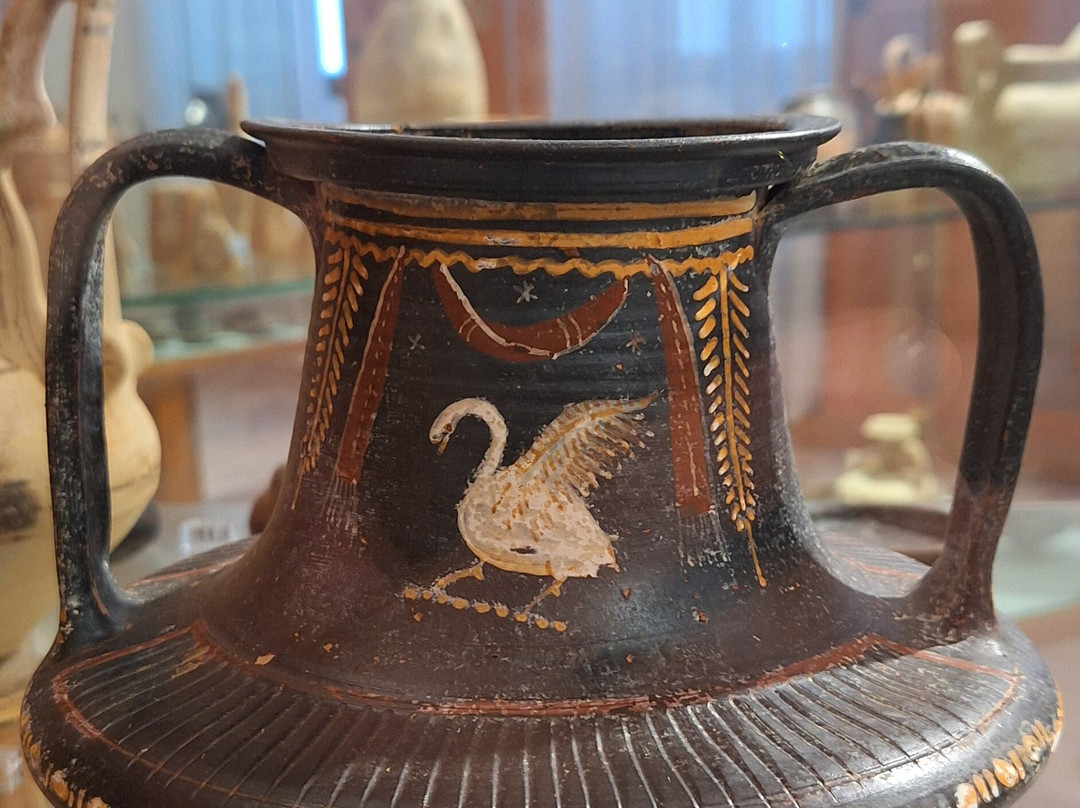 Museo Archeologico Provinciale Francesco Ribezzo-布林迪西必去景点