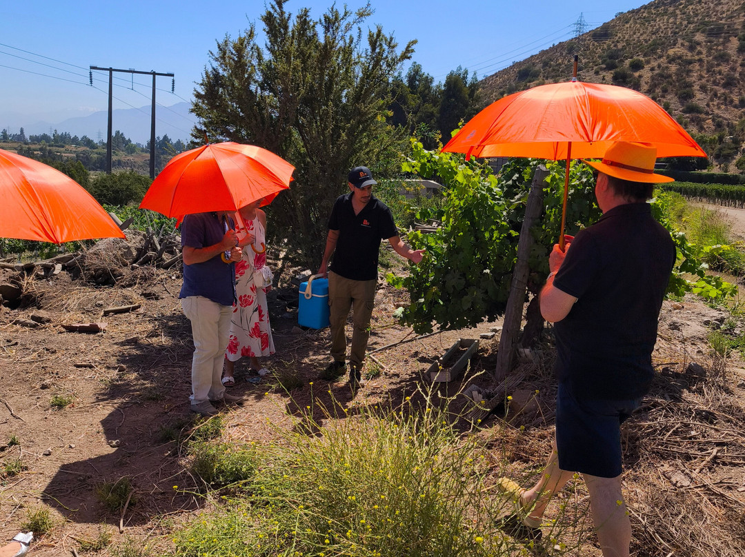 Besoain Wines-Pirque必去景点