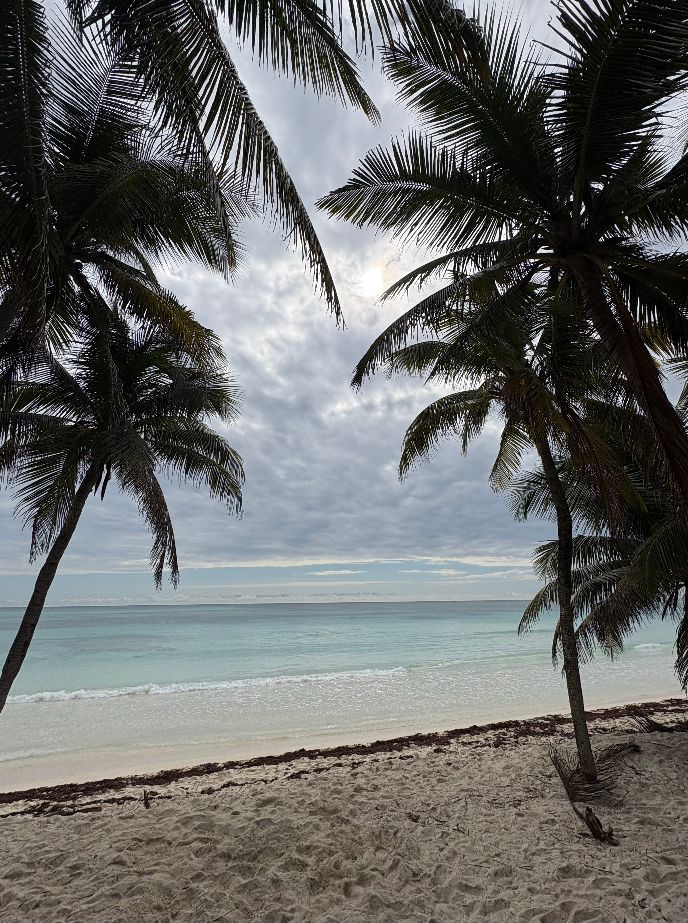 UNICO 20°87° Hotel Riviera Maya-泳池