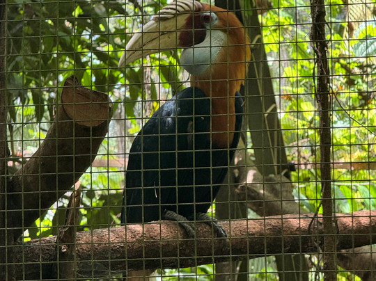 Port Moresby Nature Park-莫尔兹比港必去景点