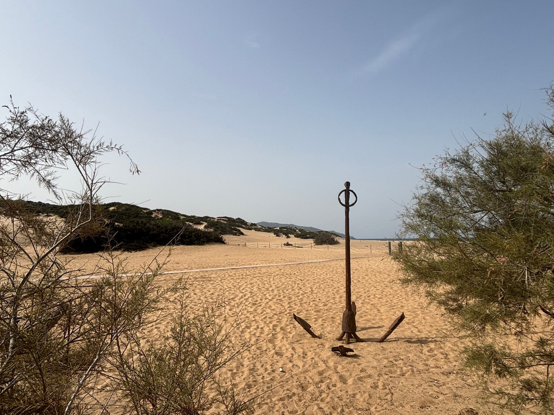 Hotel Le Dune Piscinas主图