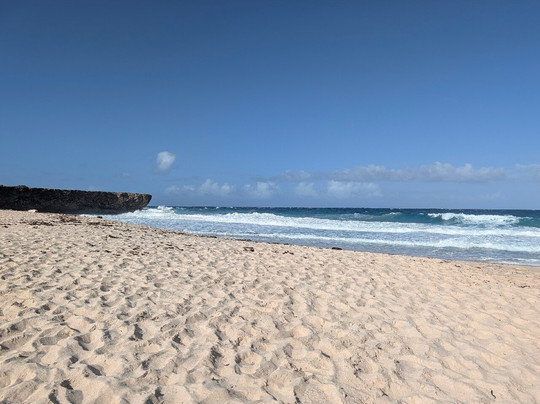 阿勒柯克国家公园-Santa Cruz必去景点