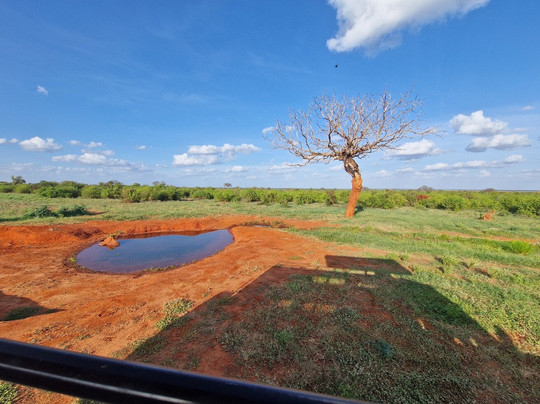 Scopriamo il Kenya con Nelson-瓦塔木必去景点