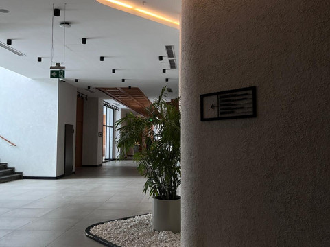 梅加萨雷尔贾斯山