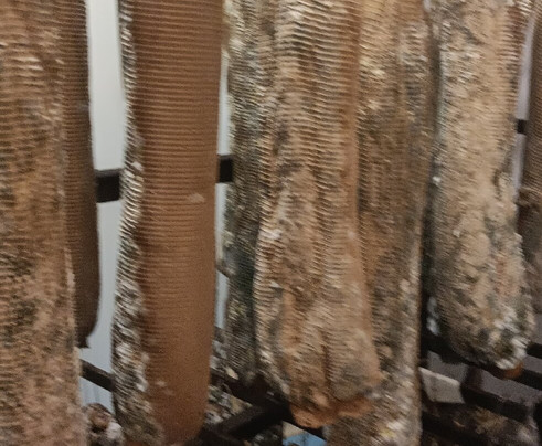 Paolazzi Macelleria Salumi-Faver必去景点