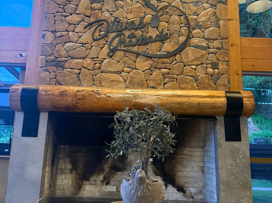 Parque Olivas de Gramado-格拉玛多必去景点