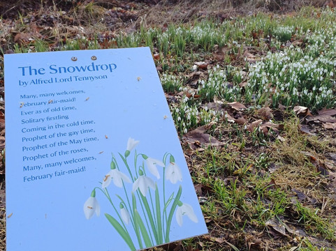 Mottisfont Abbey-Mottisfont必去景点