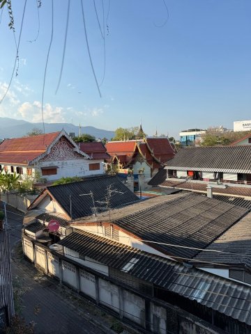 绿虎酒店-酒店景观