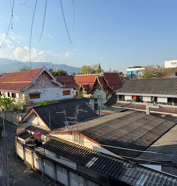 绿虎酒店主图