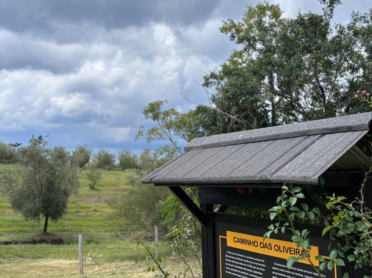 Parque Olivas de Gramado-格拉玛多必去景点