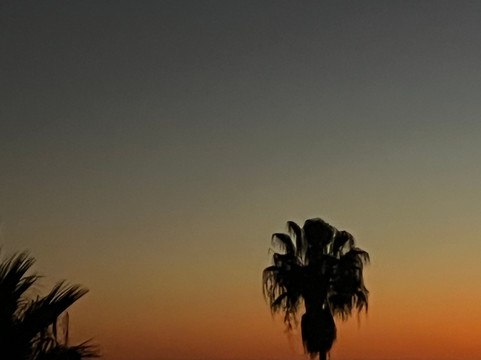 Wild Warrior Yoga-Los Canos de Meca必去景点