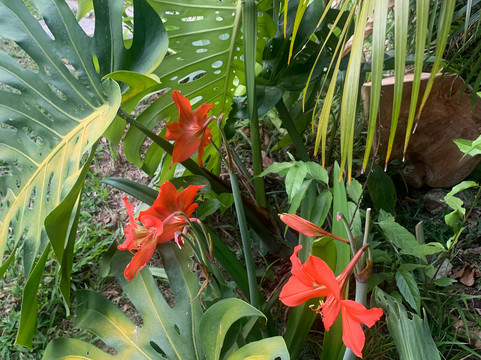 mani gonzalez adventures-La Crucecita必去景点