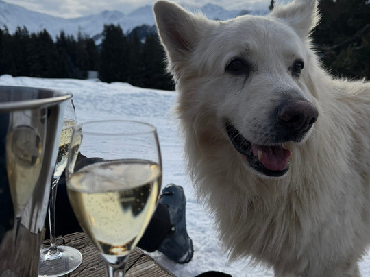 Verbier 4 Vallées-韦比尔必去景点